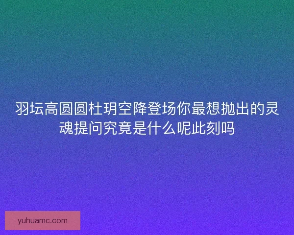 羽坛高圆圆杜玥空降登场你最想抛出的灵魂提问究竟是什么呢此刻吗